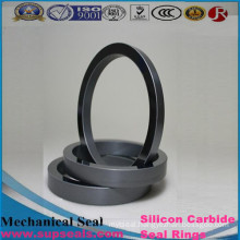 Sic Seals (RBSIC and SSIC) for Fluiten Mechanical Seal